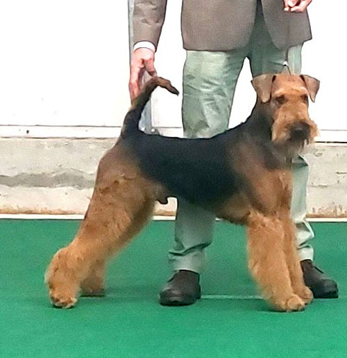 Est Etiam Novus-Fatum